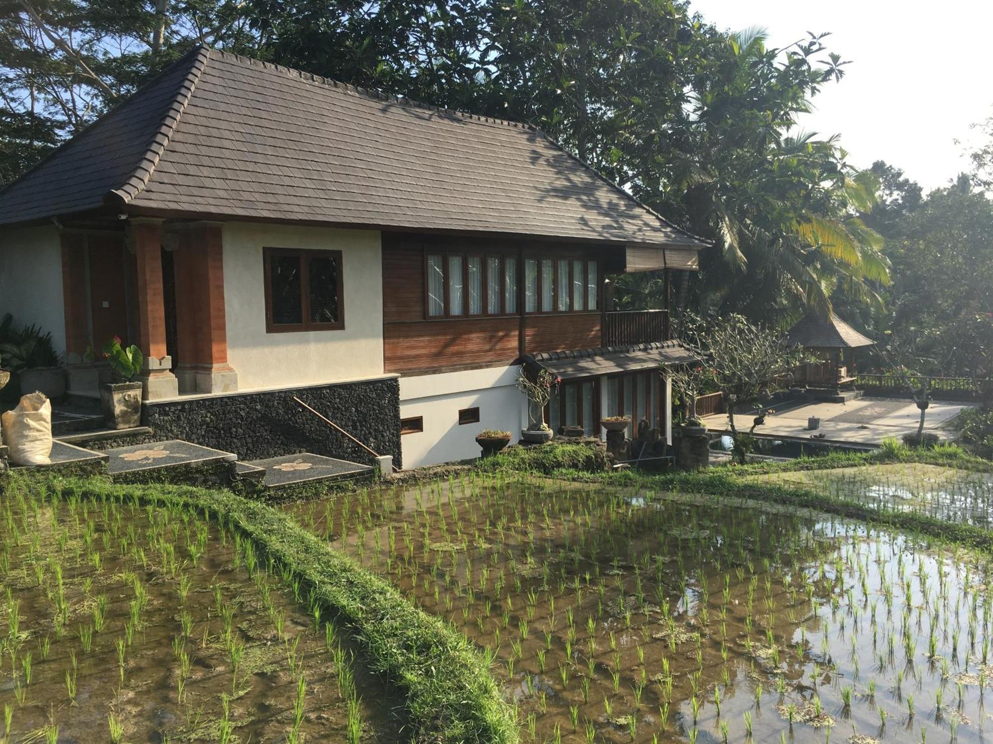 Puri Raya Villa Ubud Extérieur photo