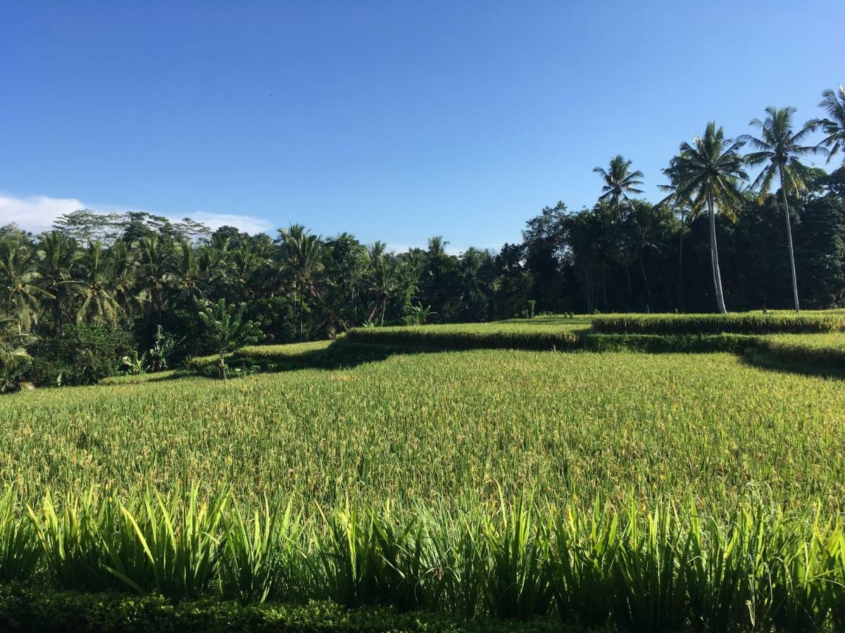 Puri Raya Villa Ubud Extérieur photo