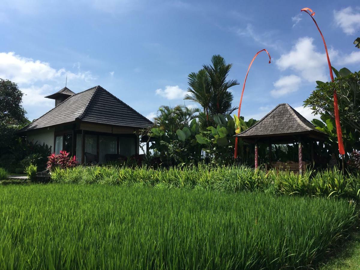 Puri Raya Villa Ubud Extérieur photo