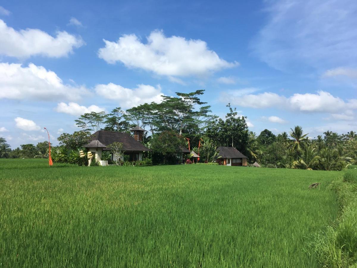 Puri Raya Villa Ubud Extérieur photo
