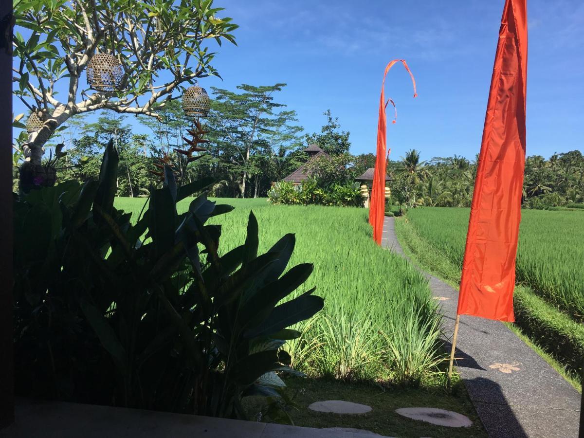 Puri Raya Villa Ubud Extérieur photo