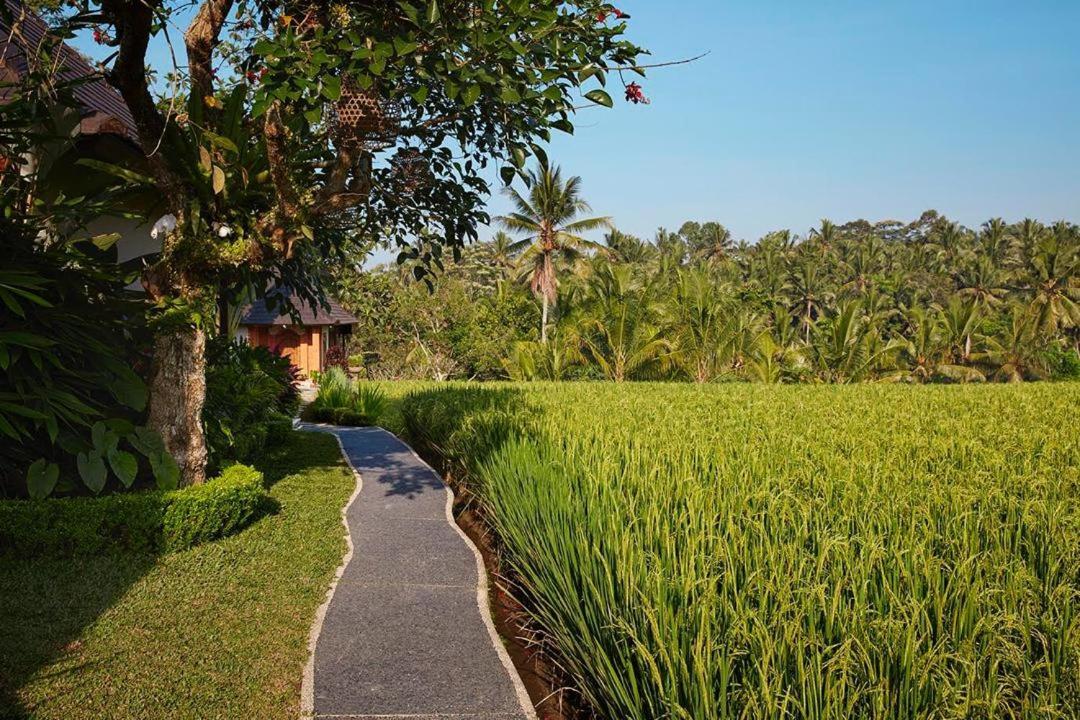 Puri Raya Villa Ubud Extérieur photo