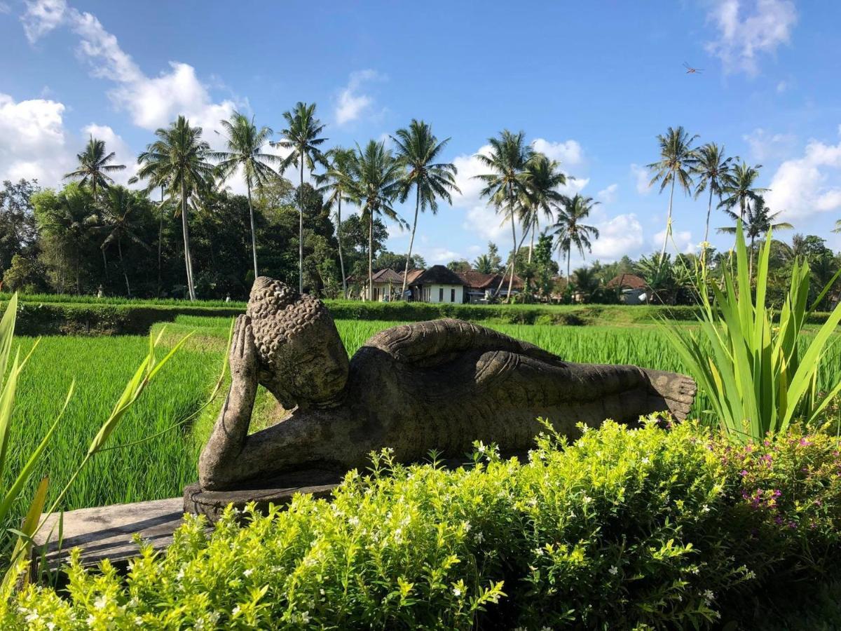 Puri Raya Villa Ubud Extérieur photo