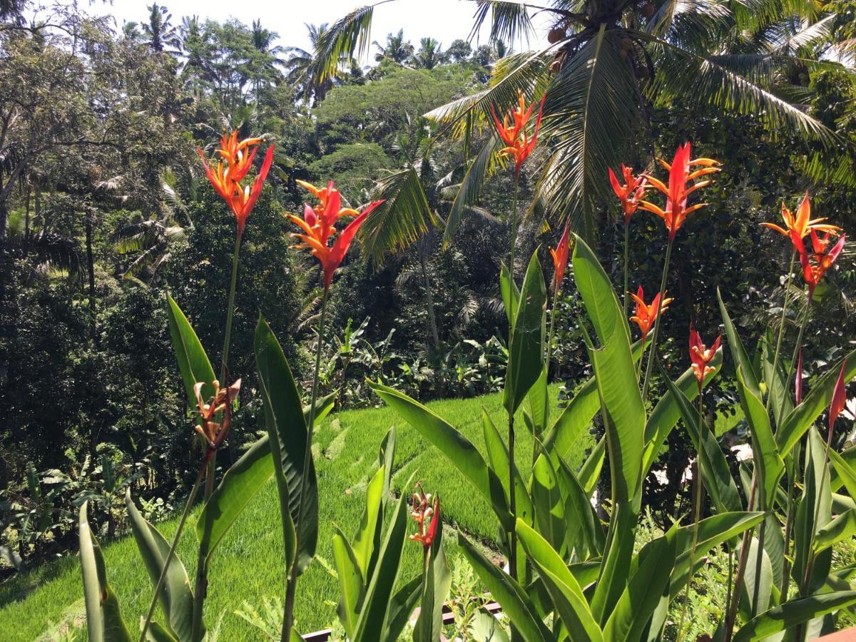 Puri Raya Villa Ubud Extérieur photo